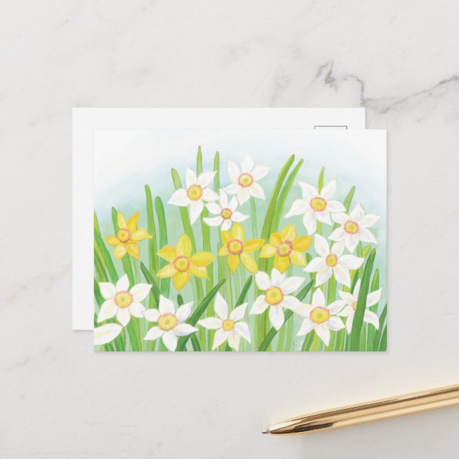 Carte Postale Daffodiques de printemps (Devant/Arrière en situation)