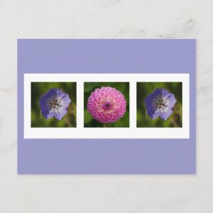 Carte postale Dahlia et Geranium