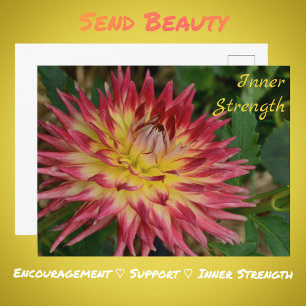 Carte Postale Dahlia Fleur Botanique Florale Jaune et Rouge
