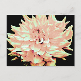 Carte Postale Dahlia - Lune de miel - Pêche de pêche pâle
