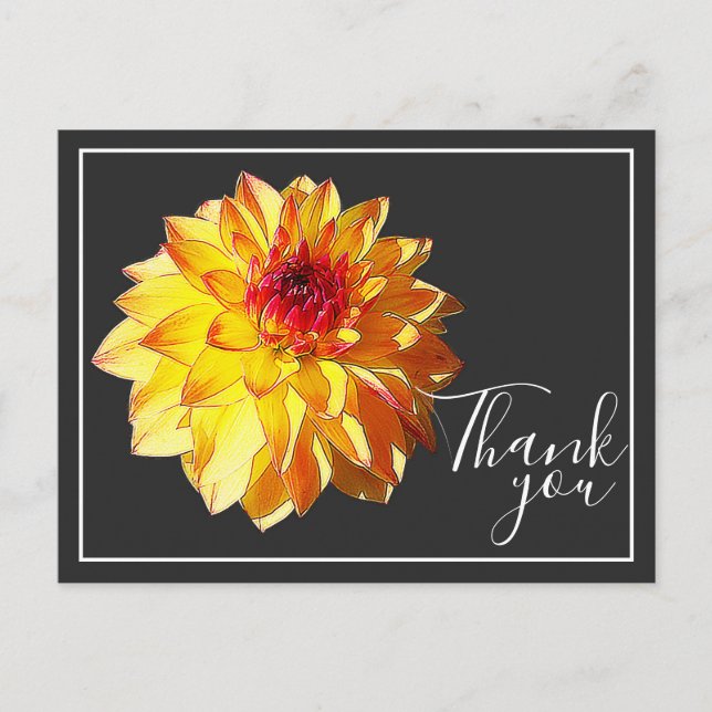 Carte Postale Dahlia Rouge Jaune Avec Fond Gris Merci (Devant)
