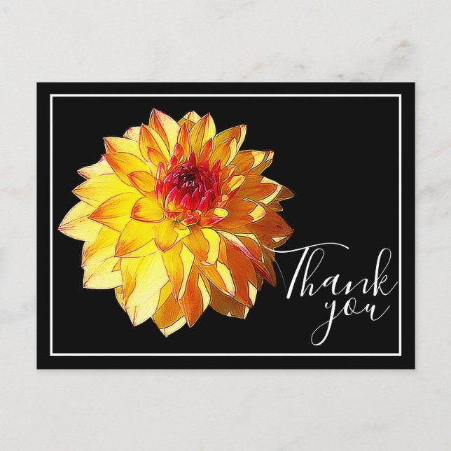 Carte Postale Dahlia Rouge Jaune Avec Fond Noir Merci (Devant)