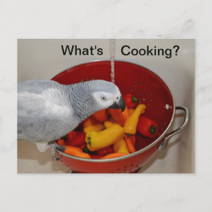Carte postale d'aide à la cuisine de Cuisine gris