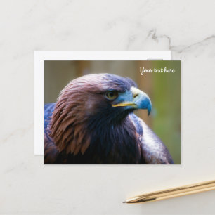 Carte postale d'Aigle royal