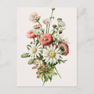 Carte postale Daisy Bouquet