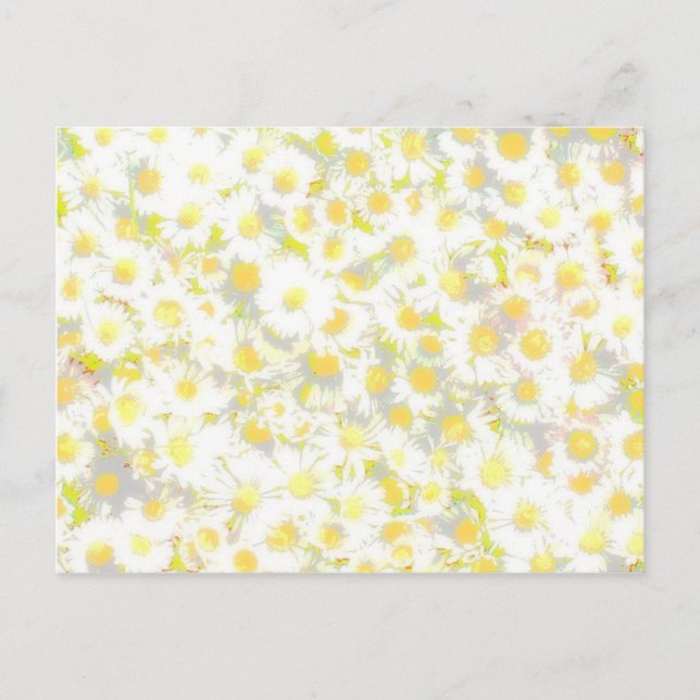 Carte Postale Daisy Daisy (Devant)