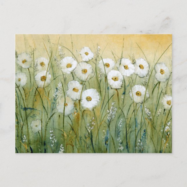 Carte Postale Daisy Spring I (Devant)