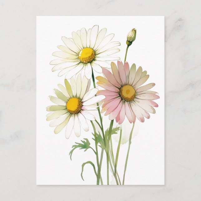Carte Postale Daisy Watercolor Flower Moderne Professionnel (Devant)