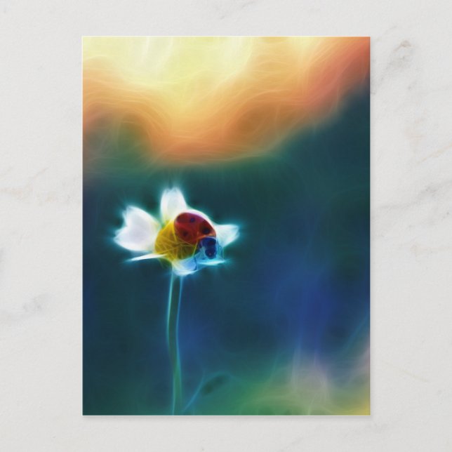 Carte Postale Daisybug (Devant)