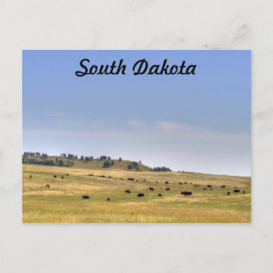 Carte Postale Dakota du Sud
