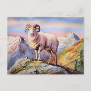 Carte Postale Dall Sheep Ram sur la montagne majestueuse