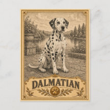 Dalmatien, Chien du Patrimoine Ancien