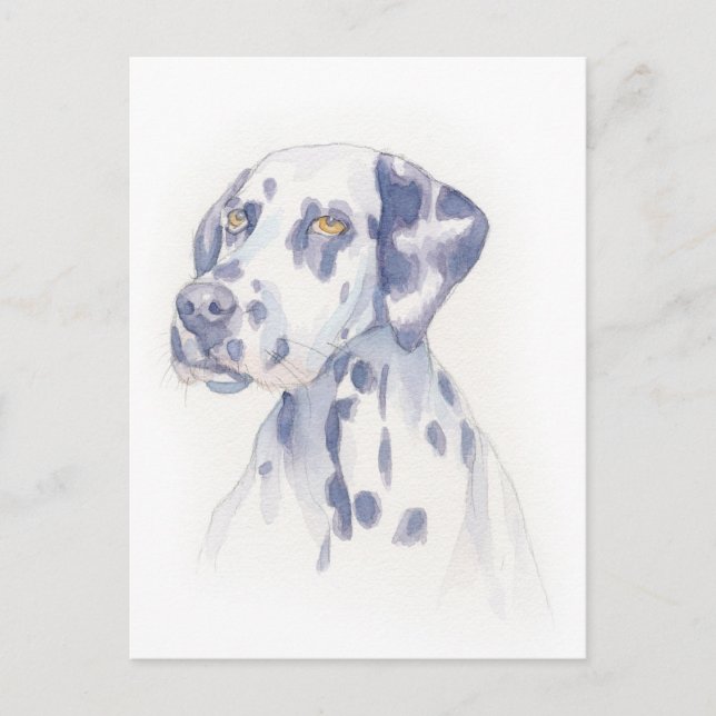 Carte Postale Dalmation (Devant)