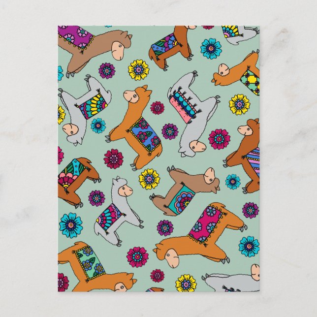 Carte postale d'alpaga (Devant)