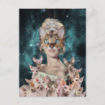 Dame du chat