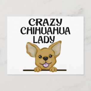 Carte Postale Dame du Chihuahua fou