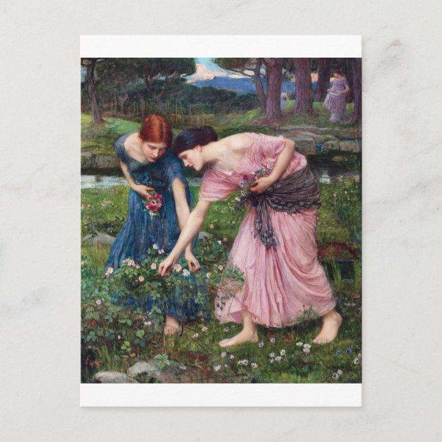 Carte Postale Dames à cueillir des Roses, John William Waterhous (Devant)