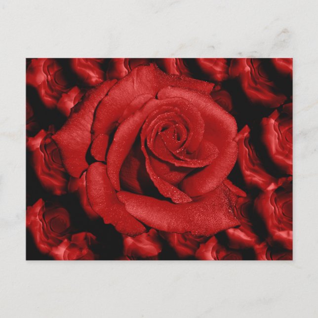Carte postale d'amour aux roses rouges (Devant)