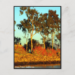 Carte postale Dana Point