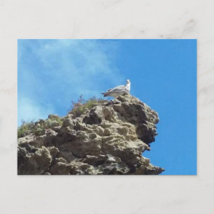 CARTE POSTALE DANA POINT #3