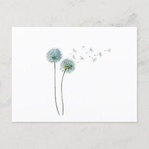 Carte postale Dandelion