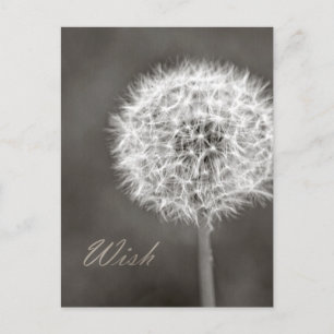 Carte Postale Dandelion de souhaits inspiré