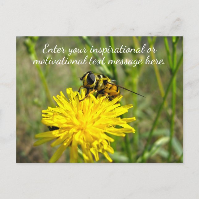 Carte Postale Dandelion Inspirationnel Personnalisé (Devant)