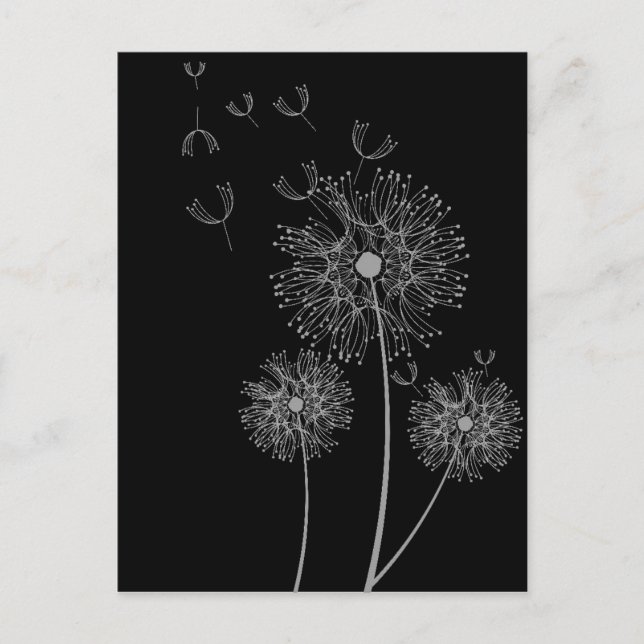 Carte Postale Dandelion noir et blanc art floral moderne (Devant)