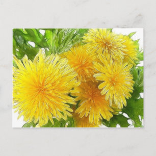Carte Postale Dandelions !