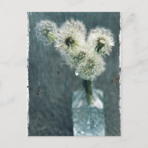 Carte Postale Dandelions