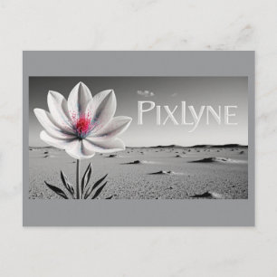 Carte postale d'Andrew Goodchild