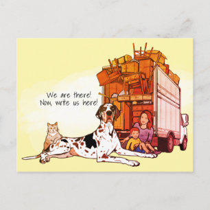 Carte Postale Danemark Coloré Chat Nous avons déménagé Nouvelle