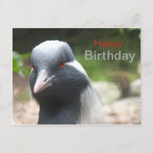 Carte postale d'anniversaire à la grue mignonne