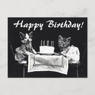 Carte postale d'anniversaire aux chats vintages