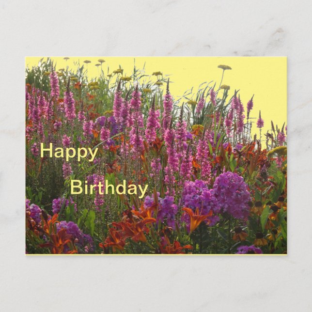 Carte postale d'anniversaire aux fleurs sauvages c (Devant)