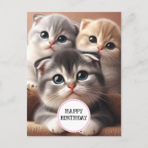 Carte postale d'anniversaire avec trois chatons
