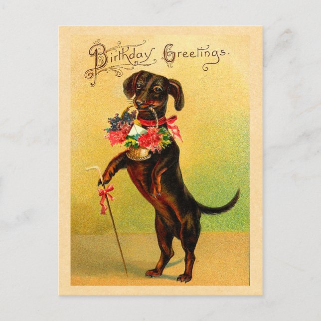 Carte postale d'Anniversaire Cute Dachshund (Devant)