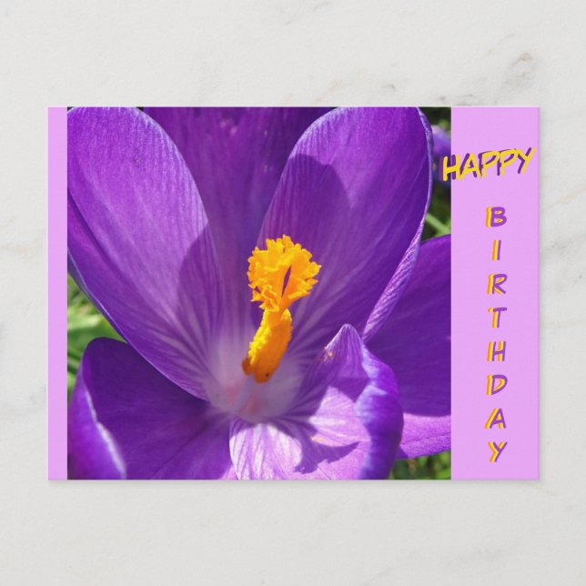 Carte postale d'anniversaire de Crocus (Devant)