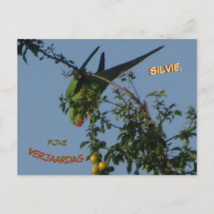 Carte postale d'anniversaire de la perruque à anne