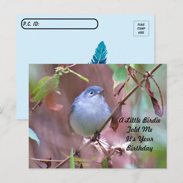 Carte postale d'anniversaire de Postcrossing Littl (Devant / Derrière)