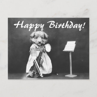 Carte postale d'anniversaire de violon pour chien 