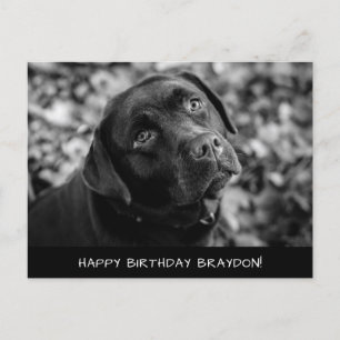 Carte postale d'anniversaire du Black Lab