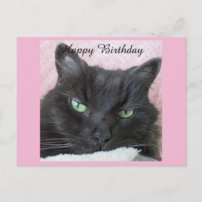 Carte postale d'anniversaire du chat noir (Devant)
