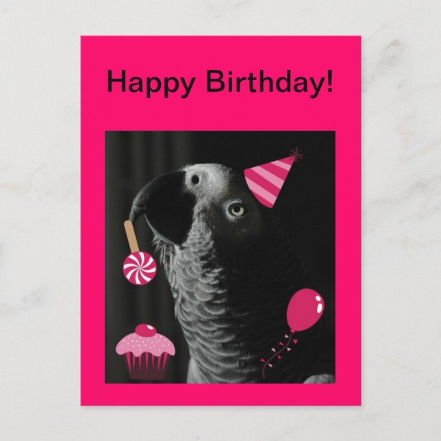 Carte postale d'anniversaire du perroquet gris afr (Devant)