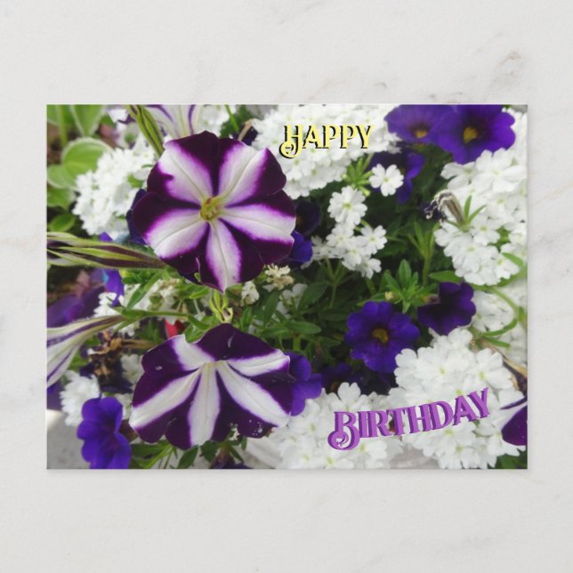 Carte postale d'anniversaire Fleurs blanches et bl (Devant)