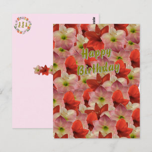 Carte postale d'anniversaire florale Amaryllis