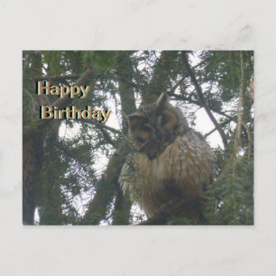 Carte postale d'Anniversaire Jolie Chouette Longue