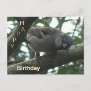 Carte postale d'anniversaire joyeux