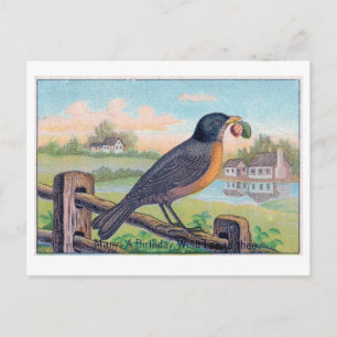 Carte postale d'anniversaire Robin vintage
