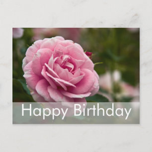 Carte postale d'anniversaire rose Rose Geburtsta